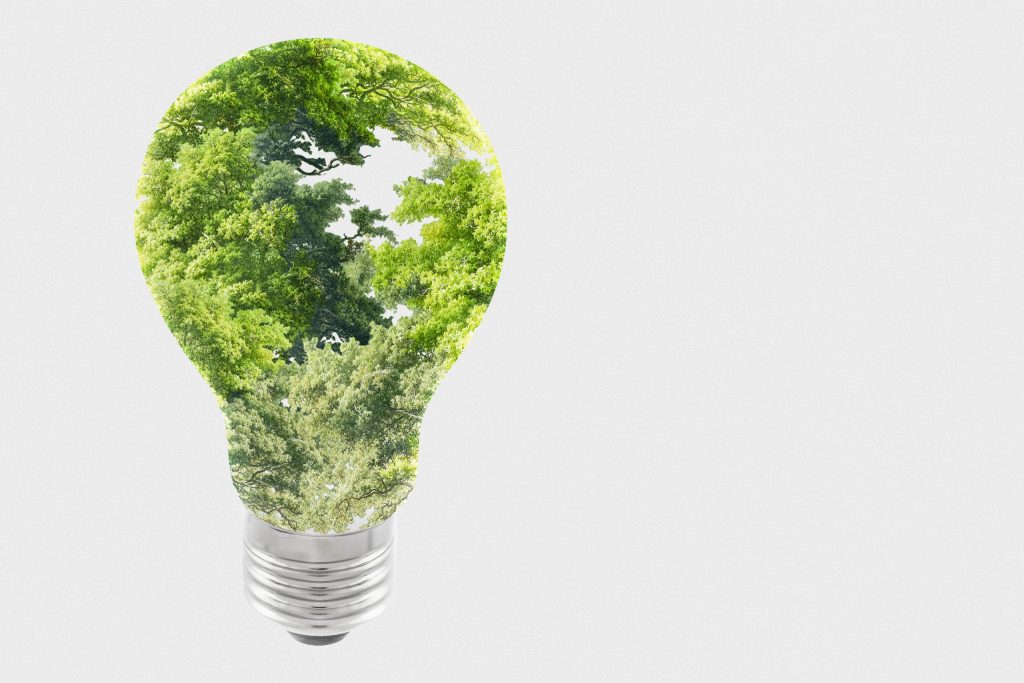 Uma lampada feita de árvores e plantas representando a sustentabilidade da indústria de energia.